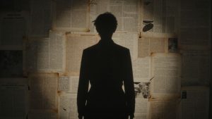 Cineva faimos cu trecut falsificat.